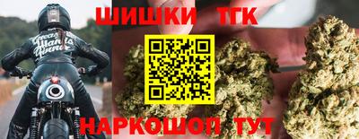стаф Донской