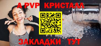 стаф Донской