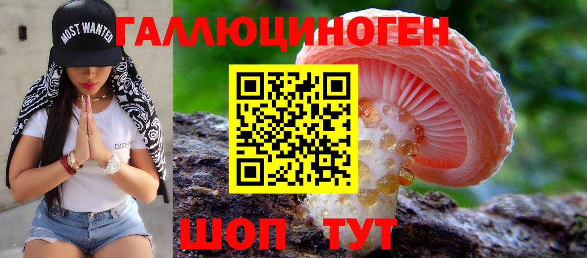 Галлюциногенные грибы мухоморы Еманжелинск